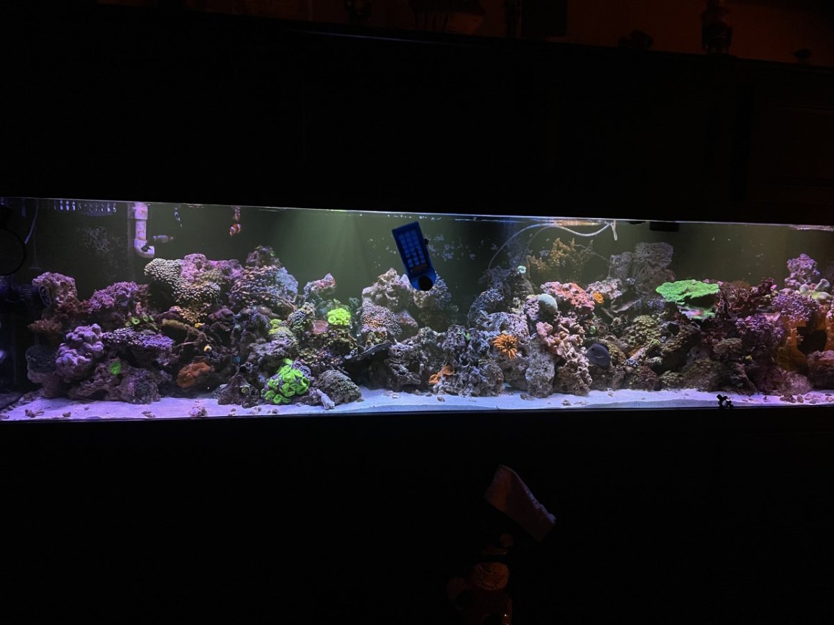 400g1.jpg