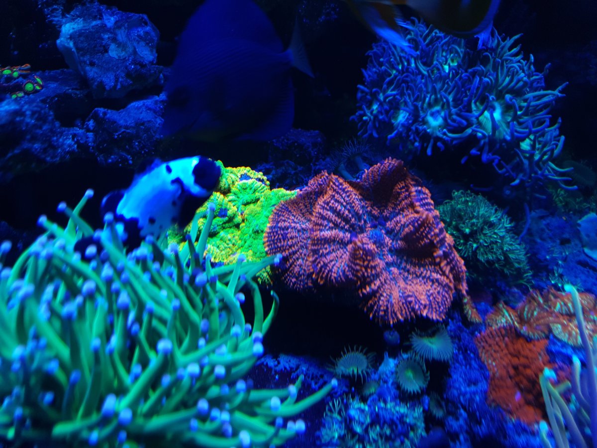 20230614_221033.jpg