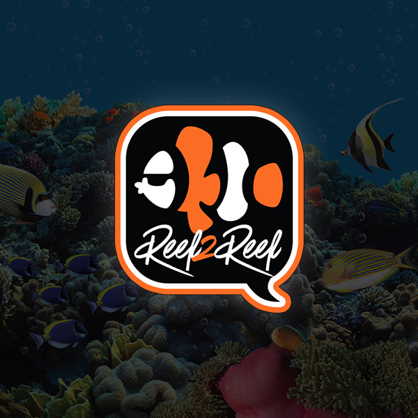 Sps vs. Angelfish | REEF2REEF Saltwater and Reef Aquarium Forum