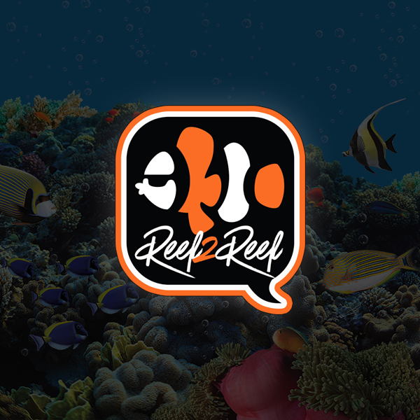 reef2reef.com